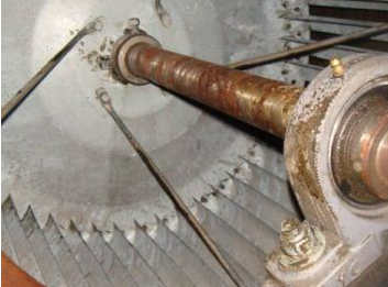 ���͟��ܵ���������ϴ�� ��